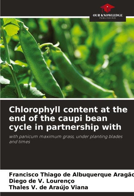 Chlorophyll content at the end of the caupi bean cycle in partnership with: with panicum maximum grass, under planting blades and times