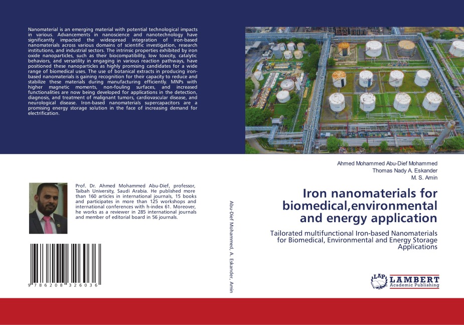 Iron nanomaterials for biomedical,environmental and energy application: Tailorated multifunctional Iron-based Nanomaterials for Biomedical, Environmental and Energy Storage Applications
