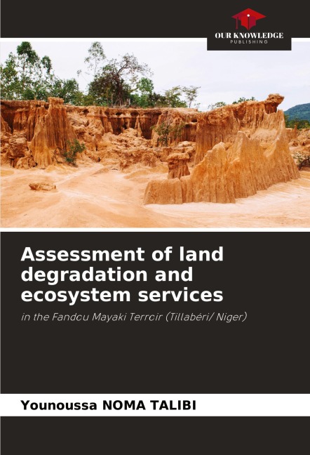 Assessment of land degradation and ecosystem services: in the Fandou Mayaki Terroir (Tillabéri/ Niger)