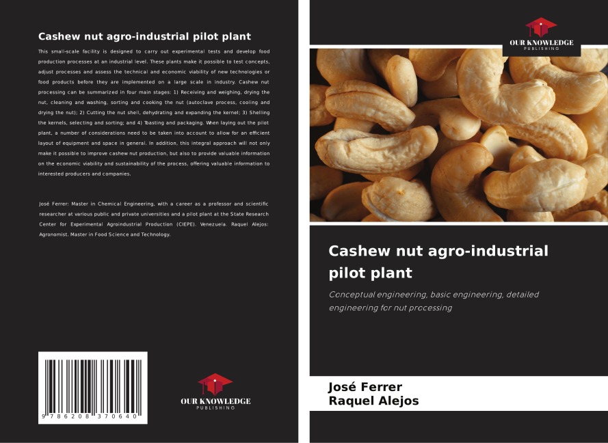 Cashew nut agro-industrial pilot plant: Conceptual engineering, basic engineering, detailed engineering for nut processing
