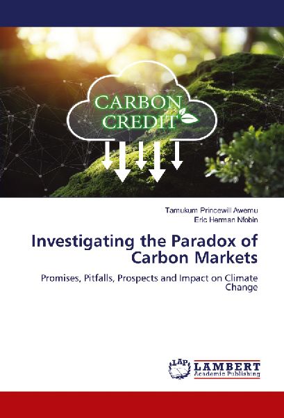 Investigating the Paradox of Carbon Markets: Promises, Pitfalls, Prospects and Impact on Climate Change