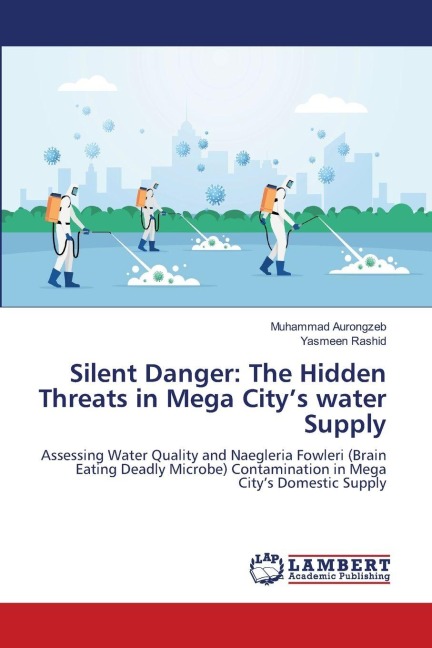Silent Danger: The Hidden Threats in Mega Citys water Supply: Assessing Water Quality and Naegleria Fowleri (Brain Eating Deadly Microbe) Contamination in Mega Citys Domestic Supply
