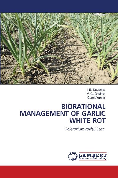 BIORATIONAL MANAGEMENT OF GARLIC WHITE ROT: Sclerotium rolfsii Sacc.
