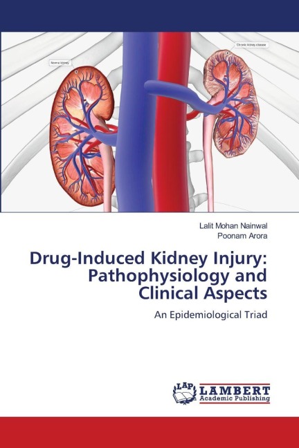 Drug-Induced Kidney Injury: Pathophysiology and Clinical Aspects: An Epidemiological Triad