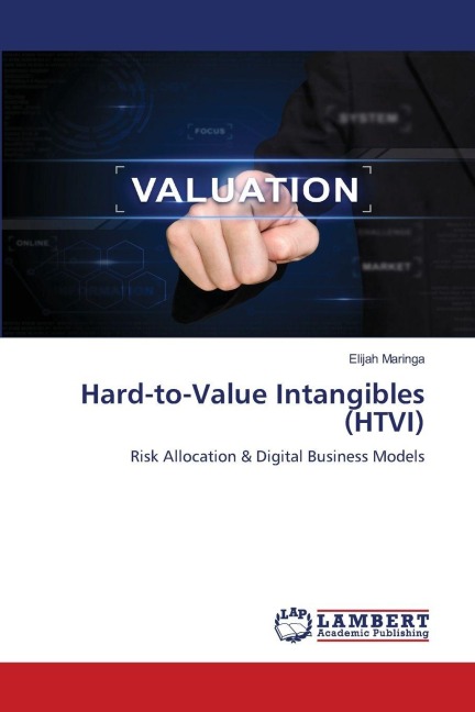 Hard-to-Value Intangibles (HTVI): Risk Allocation & Digital Business Models