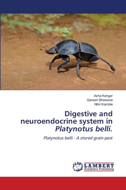 Digestive and neuroendocrine system in Platynotus belli.: Platynotus belli - A stored grain pest