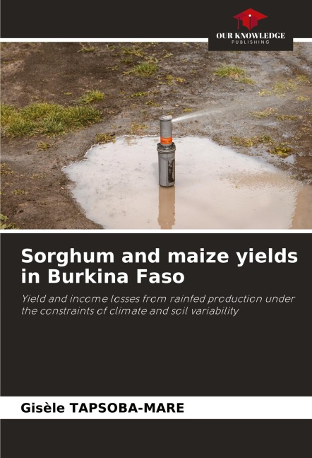 Sorghum and maize yields in Burkina Faso: Yield and income losses from rainfed production under the constraints of climate and soil variability