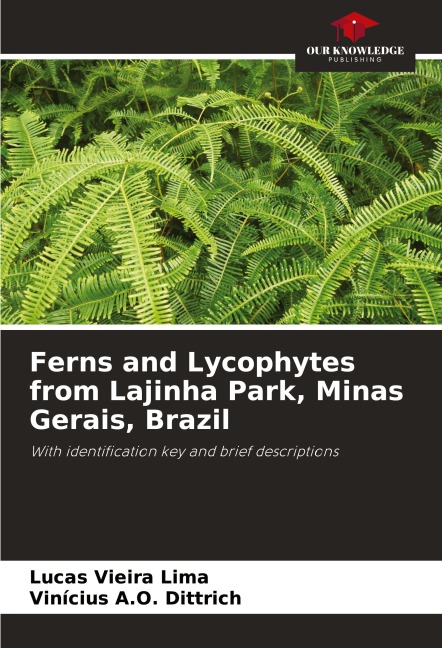 Ferns and Lycophytes from Lajinha Park, Minas Gerais, Brazil: With identification key and brief descriptions