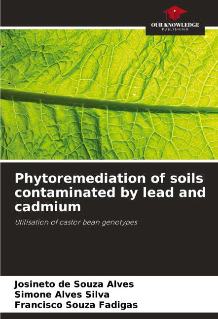 Phytoremediation of soils contaminated by lead and cadmium: Utilisation of castor bean genotypes