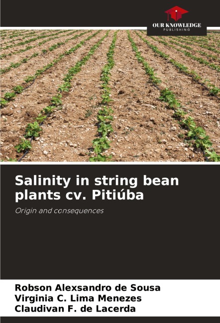 Salinity in string bean plants cv. Pitiúba: Origin and consequences