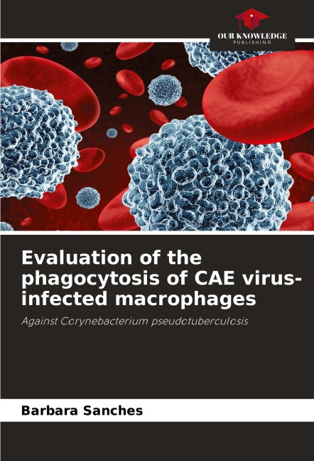 Evaluation of the phagocytosis of CAE virus-infected macrophages: Against Corynebacterium pseudotuberculosis