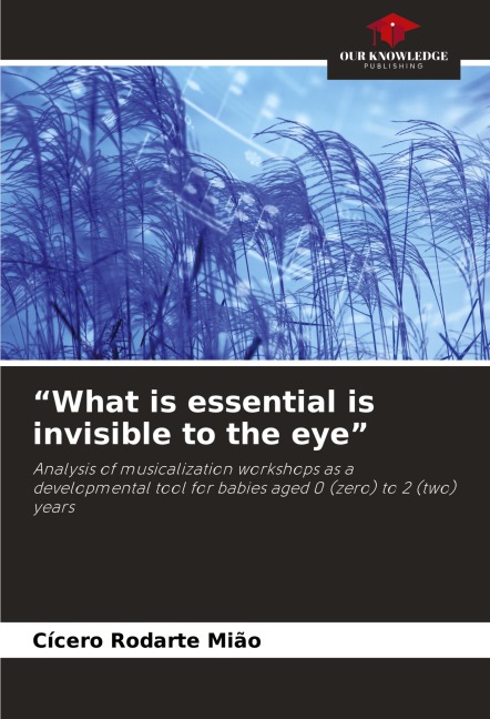 What is essential is invisible to the eye: Analysis of musicalization workshops as a developmental tool for babies aged 0 (zero) to 2 (two) years