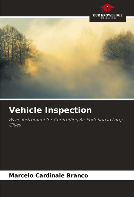 Vehicle Inspection: As an Instrument for Controlling Air Pollution in Large Cities