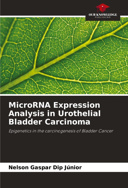MicroRNA Expression Analysis in Urothelial Bladder Carcinoma: Epigenetics in the carcinogenesis of Bladder Cancer
