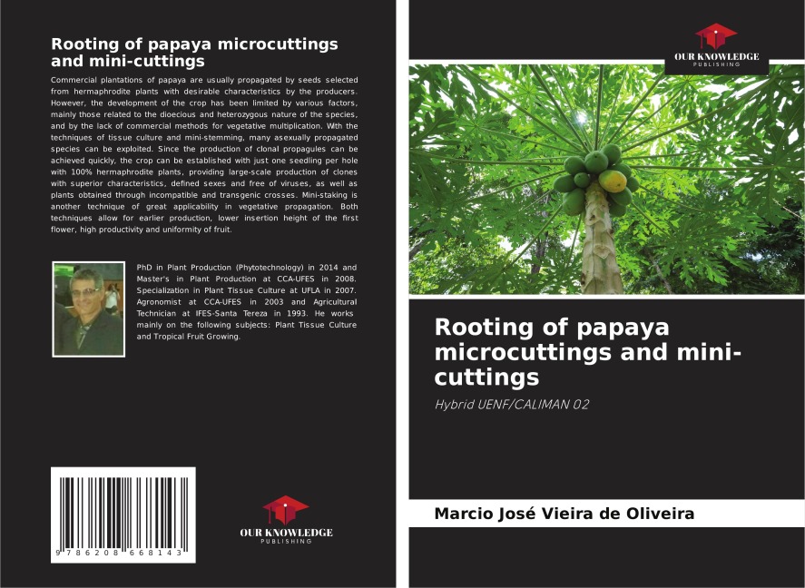 Rooting of papaya microcuttings and mini-cuttings: Hybrid UENF/CALIMAN 02