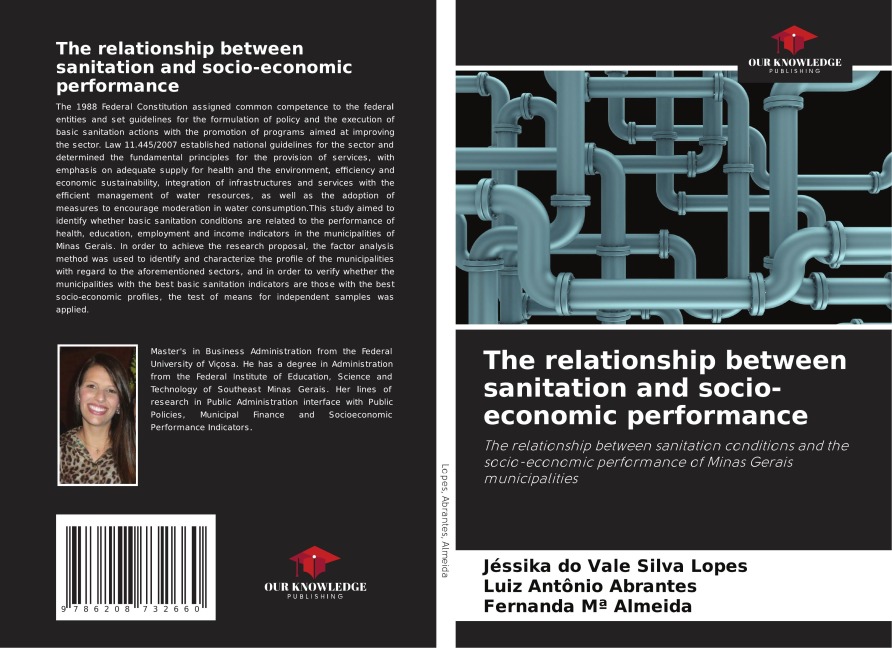 The relationship between sanitation and socio-economic performance: The relationship between sanitation conditions and the socio-economic performance of Minas Gerais municipalities