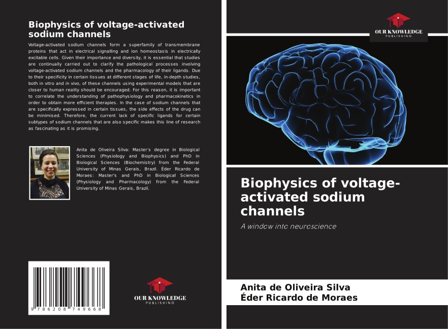 Biophysics of voltage-activated sodium channels: A window into neuroscience