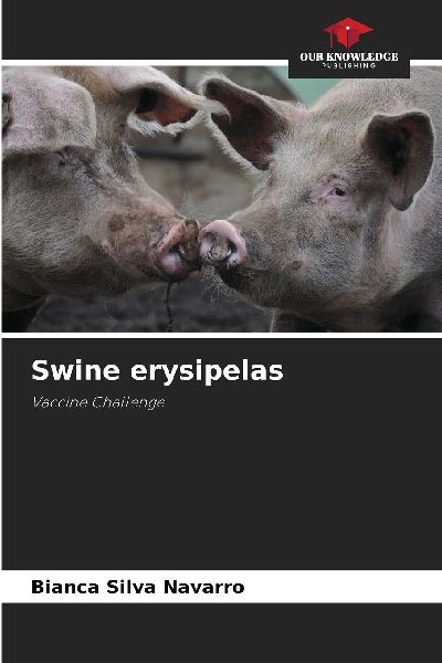 Swine erysipelas: Vaccine Challenge