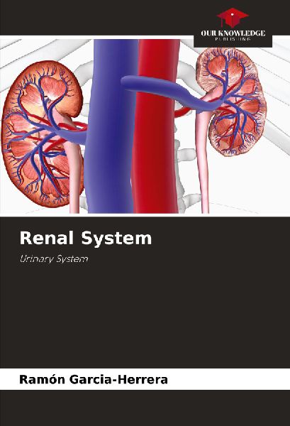 Renal System: Urinary System