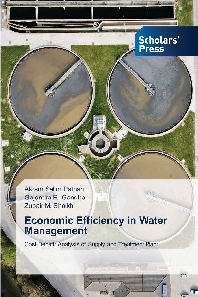 Economic Efficiency in Water Management: Cost-Benefit Analysis of Supply and Treatment Plant