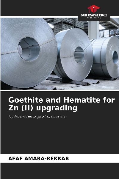 Goethite and Hematite for Zn (II) upgrading
