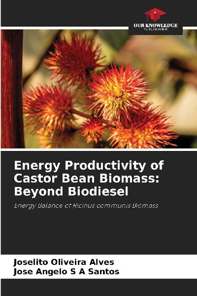 Energy Productivity of Castor Bean Biomass: Beyond Biodiesel: Energy Balance of Ricinus communis Biomass