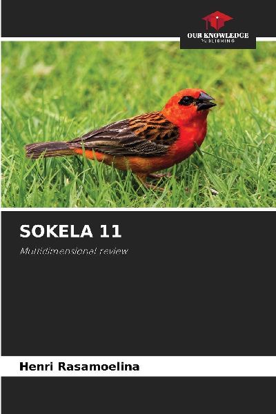 SOKELA 11: Multidimensional review