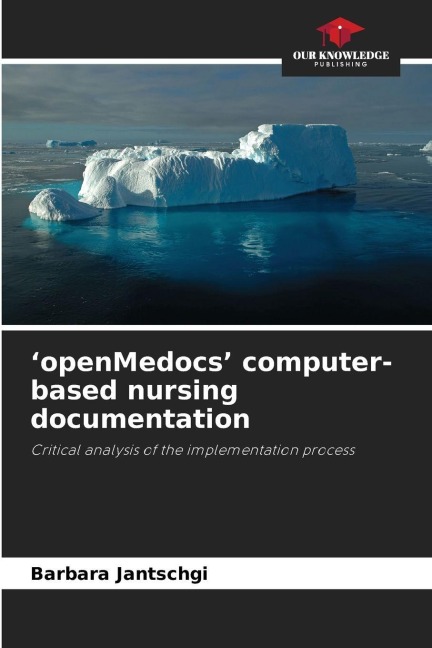 openMedocs computer-based nursing documentation: Critical analysis of the implementation process