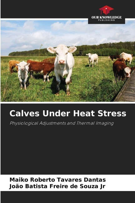 Calves Under Heat Stress: Physiological Adjustments and Thermal Imaging