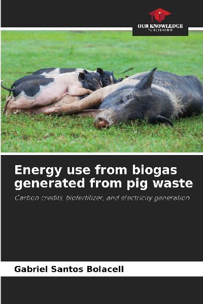Energy use from biogas generated from pig waste: Carbon credits, biofertilizer, and electricity generation