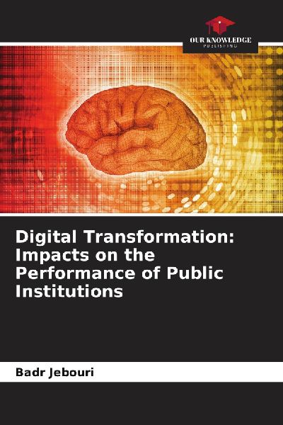 Digital Transformation: Impacts on the Performance of Public Institutions