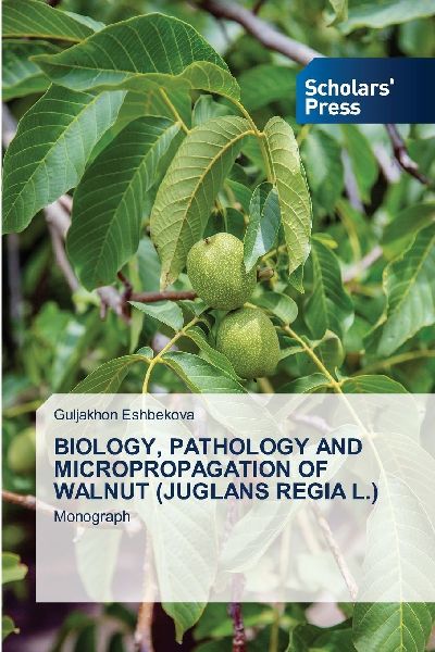 BIOLOGY, PATHOLOGY AND MICROPROPAGATION OF WALNUT (JUGLANS REGIA L.): Monograph