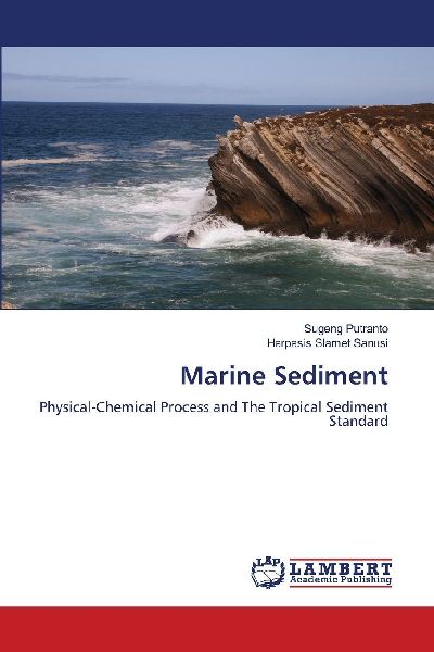 Marine Sediment: Physical-Chemical Process and The Tropical Sediment Standard