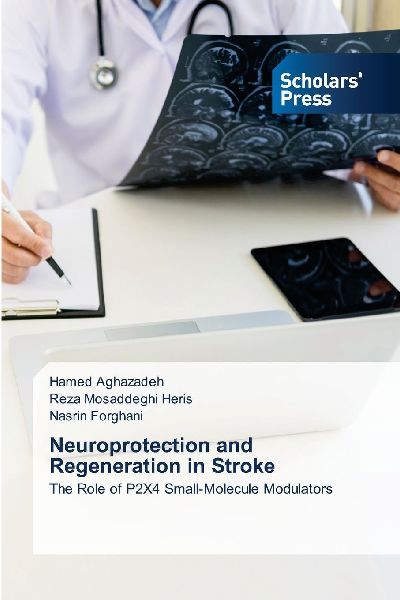 Neuroprotection and Regeneration in Stroke: The Role of P2X4 Small-Molecule Modulators