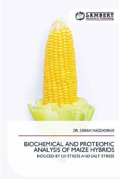 BIOCHEMICAL AND PROTEOMIC ANALYSIS OF MAIZE HYBRIDS: INDUCED BY UV STRESS AND SALT STRESS