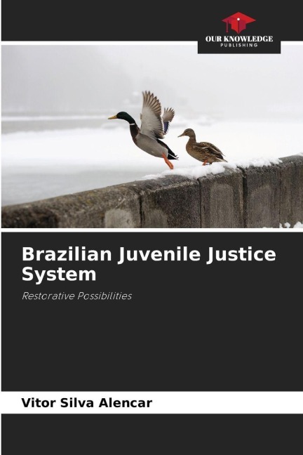 Brazilian Juvenile Justice System: Restorative Possibilities