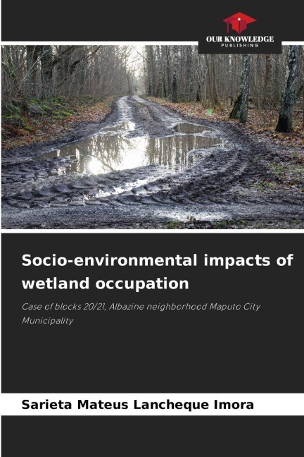 Socio-environmental impacts of wetland occupation: Case of blocks 20/21, Albazine neighborhood Maputo City Municipality