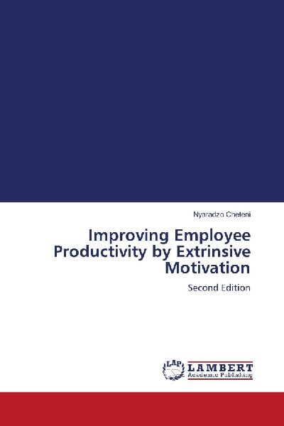 Improving Employee Productivity by Extrinsive Motivation: Second Edition