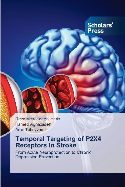 Temporal Targeting of P2X4 Receptors in Stroke: From Acute Neuroprotection to Chronic Depression Prevention