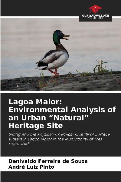 Lagoa Maior: Environmental Analysis of an Urban Natural Heritage Site: Silting and the Physical-Chemical Quality of Surface Waters in Lagoa Maior in the Municipality of Três Lagoas/MS