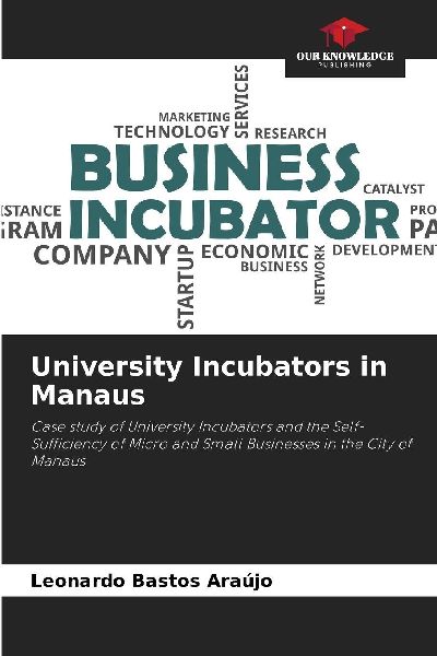 University Incubators in Manaus: Case study of University Incubators and the Self-Sufficiency of Micro and Small Businesses in the City of Manaus