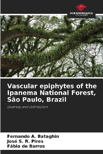 Vascular epiphytes of the Ipanema National Forest, São Paulo, Brazil: Diversity and Distribution