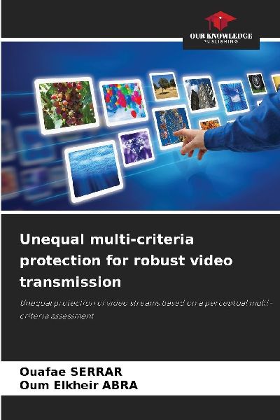 Unequal multi-criteria protection for robust video transmission: Unequal protection of video streams based on a perceptual multi-criteria assessment
