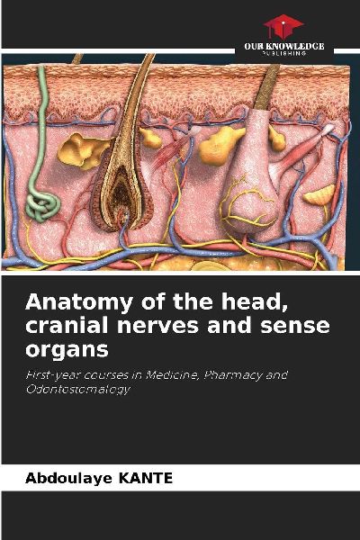 Anatomy of the head, cranial nerves and sense organs: First-year courses in Medicine, Pharmacy and Odontostomalogy
