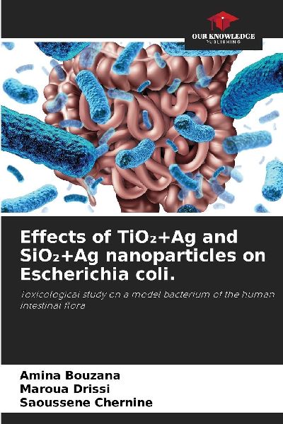Effects of TiO¿+Ag and SiO¿+Ag nanoparticles on Escherichia coli.: Toxicological study on a model bacterium of the human intestinal flora
