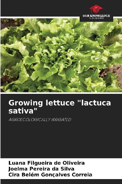Growing lettuce lactuca sativa: AGROECOLOGICALLY IRRIGATED