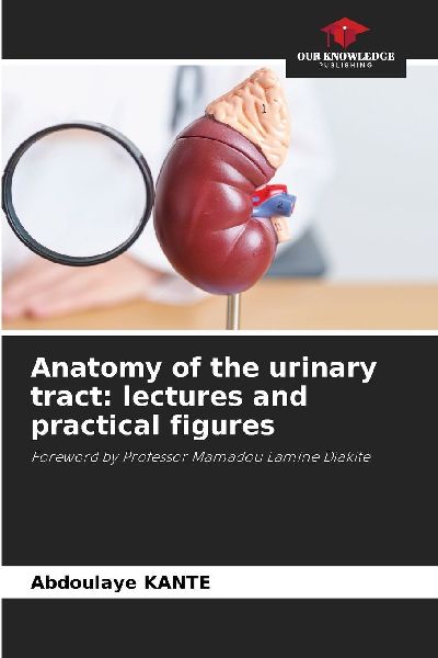 Anatomy of the urinary tract: lectures and practical figures: Foreword by Professor Mamadou Lamine Diakité