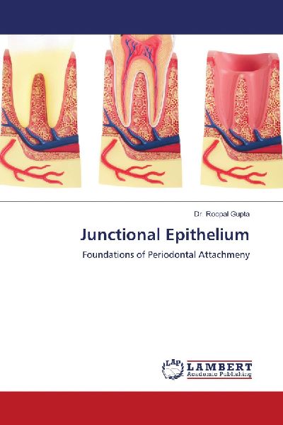 Junctional Epithelium: Foundations of Periodontal Attachmeny