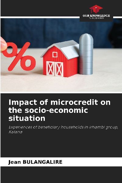 Impact of microcredit on the socio-economic situation: Experiences of beneficiary households in Irhambi group, Katana