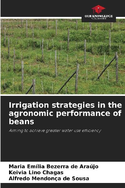 Irrigation strategies in the agronomic performance of beans: Aiming to achieve greater water use efficiency